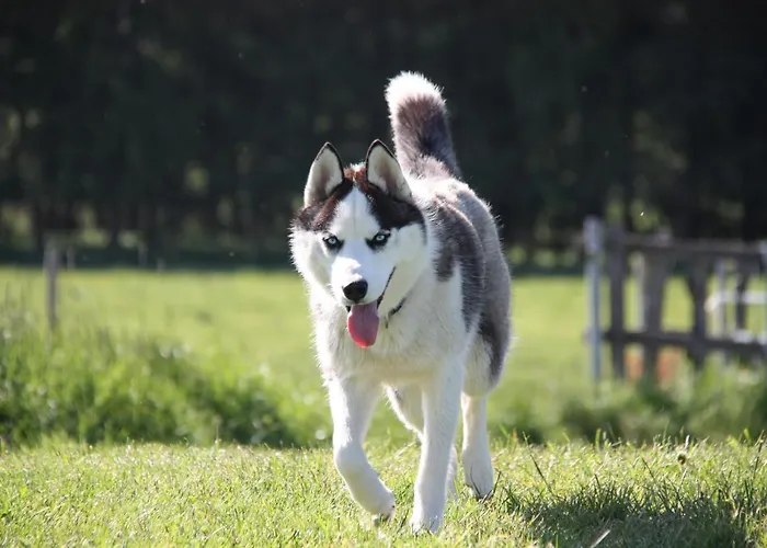 Apartamento Vent_du_nord *